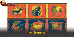 Hướng Dẫn Soi Cầu Bầu Cua Chuẩn Xác, Tăng Tỷ Lệ Thắng Cao
